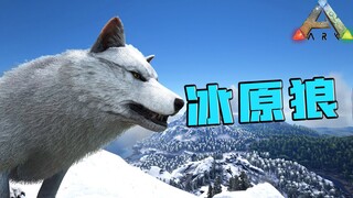 Ark Survival Evolved: ذئبٌ مُرعب! هاسكي قادرٌ على إغراق نفسه!