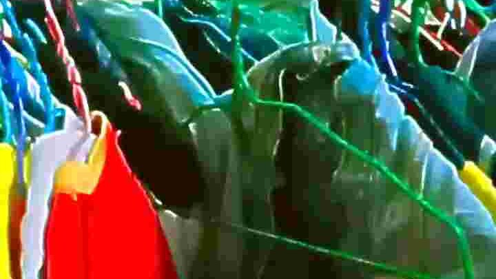 ขออีกคลิป