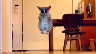 رائحتها مثل رائحة الزومبي