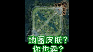 Map skin, you’re selling it to me for four figures?