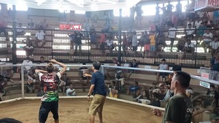 4th fight loss 9-17-23