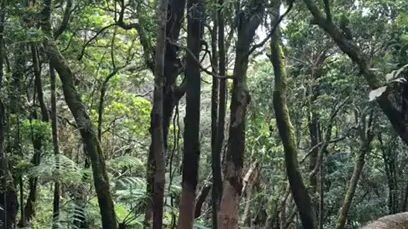 sebelum terjadi tragedi di gunung ! ☹️