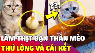 Con Sen 'BÀY TRÒ' thử lòng chú mèo khi biến đứa bạn thân 'THÀNH VỊT QUAY' và cái kết 😅 Gâu Đần