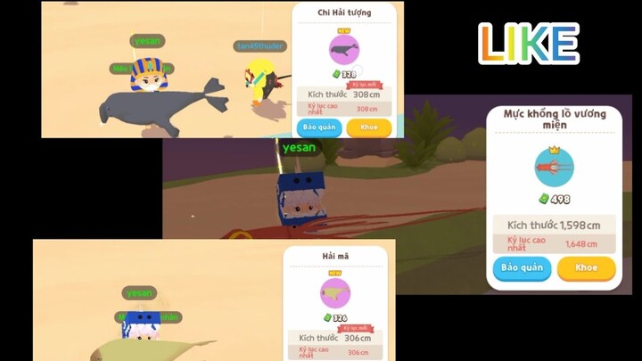 Play Together | Highlight câu cá, chi hải tượng và hải sâm về đội.