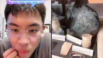 "British School Museum" — Tingquan Appraises Treasures, Dream-Collecting Little Cool Guy - Organizat