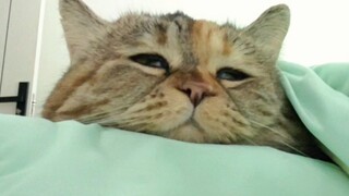 Ayo tidur bersama