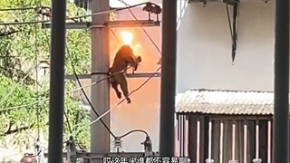 这年头谁都不容易啊…
