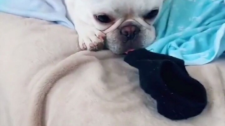 Cái mưa này sao mà rơi chẳng thuận chút nào nhỉ?