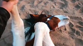 يا مار، أرجوك تحلى بالاحترام