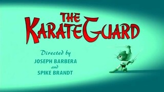 The KarateGuard