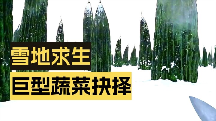 พบผักยักษ์ คุณอยากได้ตัวไหนที่สุด?