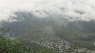 Lubo Rice Terraces, Tanudan, Kalinga (Raw video)