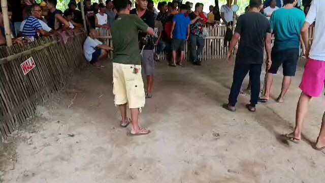 Palawan RRZN is in the house. 66k pusta ng kalaban Sibak