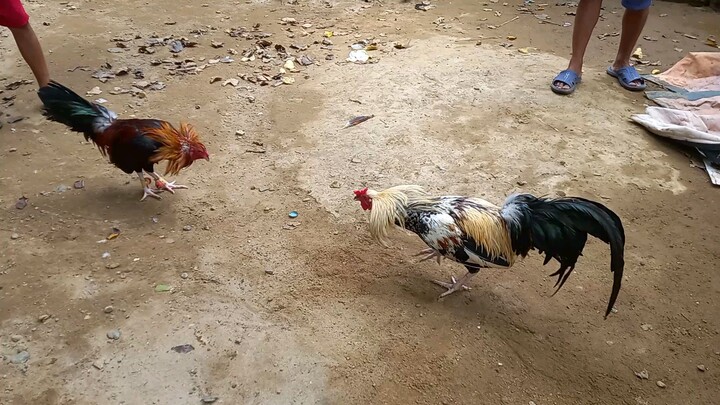 Sparring Muna tayo mga Lods Practis Mag Ama!