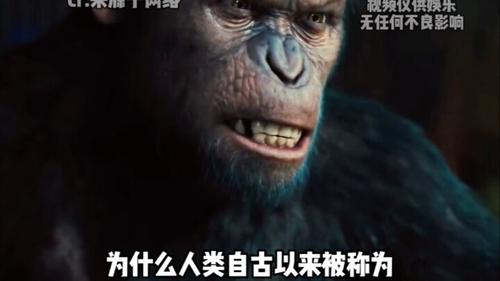 ทำไมมนุษย์จึงถูกเรียกว่า “ลิงยืนตรง” มาตั้งแต่โบราณ?