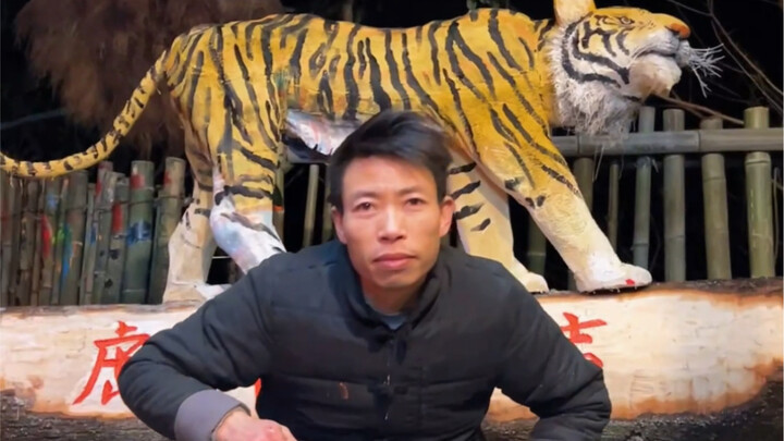 Many friends are curious about where the tigers that often appear in my videos come from. Of course,