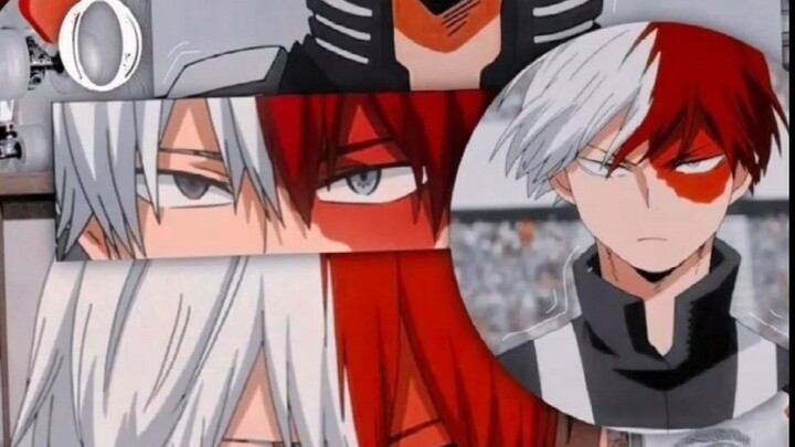 โทโดโรกิ โชโตะ