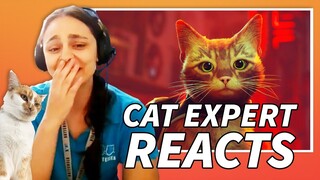 Cat Behavior Expert Reacts To Stray