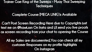 Trainer Gae King of the Sweeps course  - Muay Thai Sweeping Techniques download