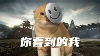 🐱You've reached me🐱