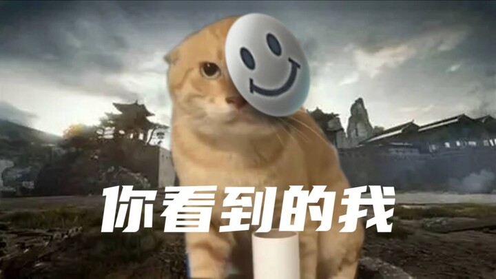 🐱You've reached me🐱