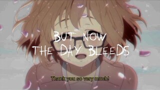beyond the boundary