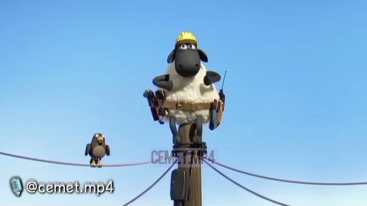 DUBBING JAWA SHAUN THE SHEEP (wedi adus part 2)