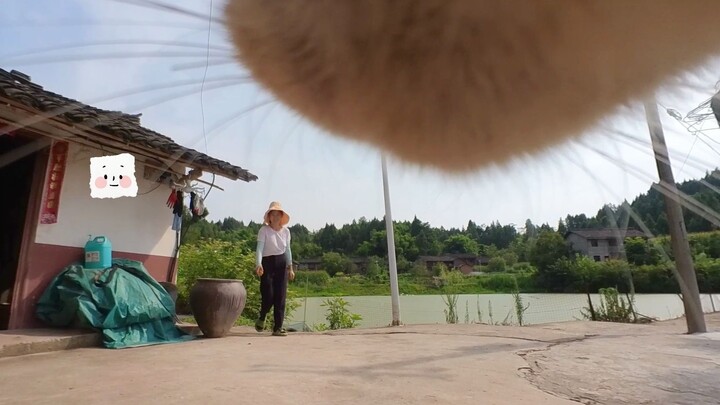 Cat: In our village, communication basically relies on shouting!