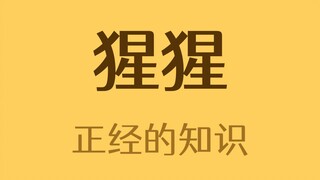 人类有什么是猩猩没有的？
