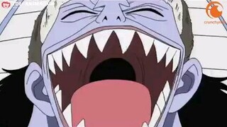 Let this be the energy you need for the rest of the week -- 3 minutes of One Piece laughter! 🏴‍☠️