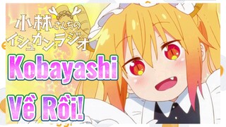 Kobayashi Về Rồi!