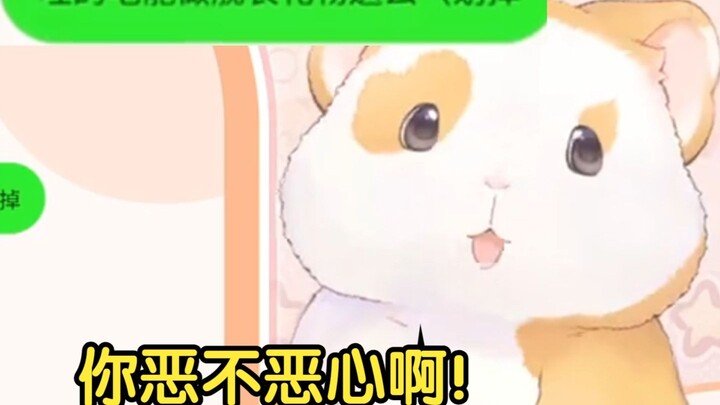 花玲难绷水友发癫：你恶不恶心啊！【花玲片2】
