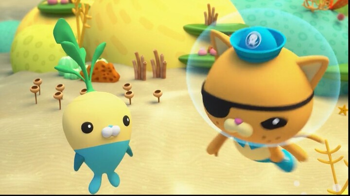 Octonauts: The Great Barrier Reef