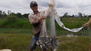 Cả Nhà Ùa Nhau Ra Đồng Chài Cá Dính Thấy Ham| TKQ T371