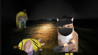 Em gái sinh đôi bị hại, hiện về báo mộng cho chị gái