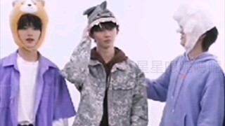 傻了吧唧的马哥