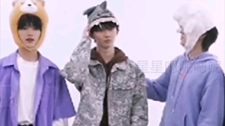 傻了吧唧的马哥