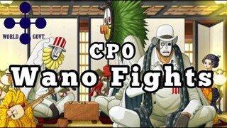 CP0 Fights in Wano | Manga Video