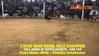 7stag solo champion 🏆2 GRAB @BOHOL            FULL SHOW WHITEJACKET