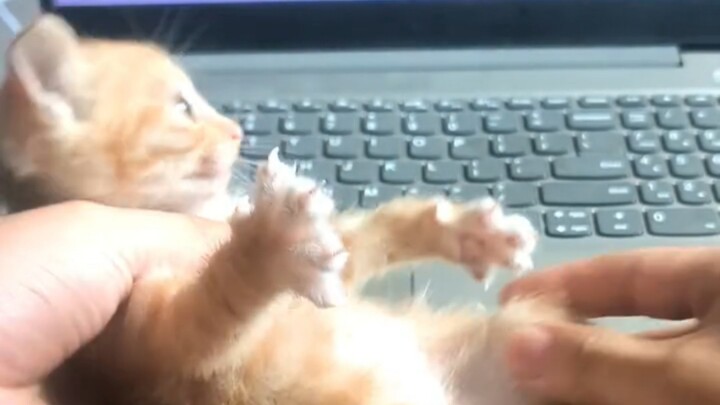 Even as a kid, I wouldn’t have dared to play with my toys like this.