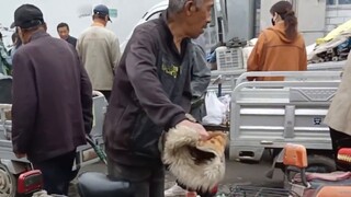 Saya meninggalkan anak saya di rumah hari ini dan keluar untuk menjual benih bawang merah. Saya menj