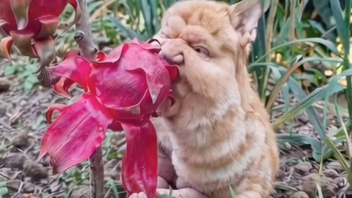 โดนเตือนเรื่องเซนเซอร์ มนุษย์ที่สร้างโดย AI 8