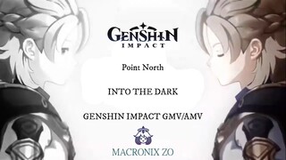 Genshin Impact GMV/AMV Into The Dark Point North