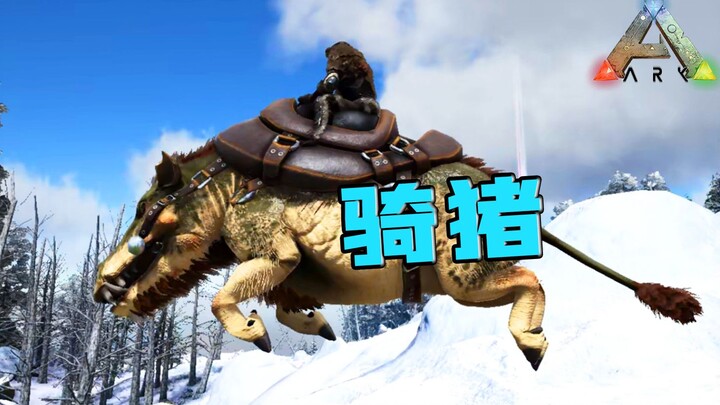 Ark: Survival Evolved: Lợn răng nanh hung dữ! Năm Sửu là phải cưỡi lợn đi chúc Tết!