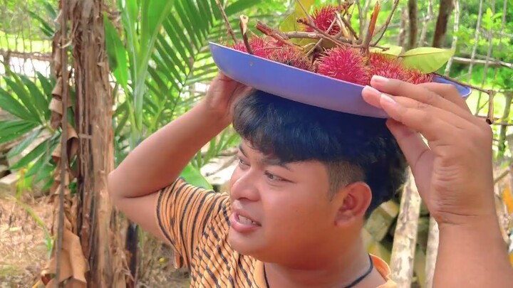 ขี้เหนียว Kupik
