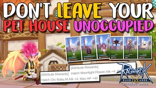 DON'T LEAVE YOUR PET HOUSE UNOCCUPIED - RAGNAROK M: ETERNAL LOVE