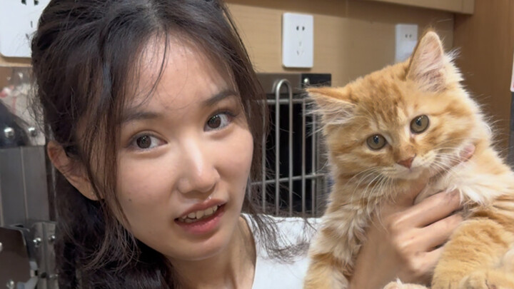 الرقبة المائلة