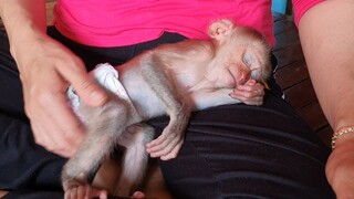 Tiny Baby Liheang Request Brother Sono To Eat Rambutan, Mom Feed Fresh Fruits For Both Babies