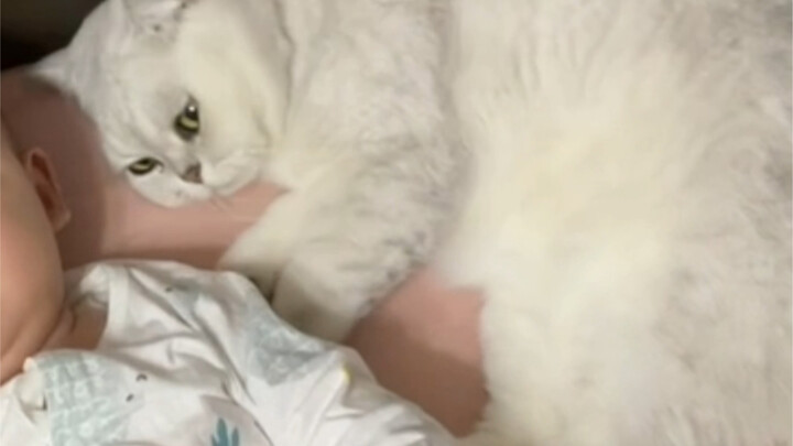 Chẳng lẽ nó thật sự nghĩ đó là con của nó à?