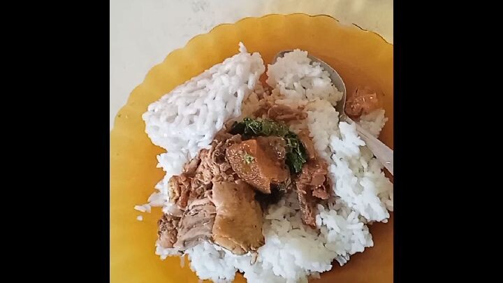 nasi opor ayam
